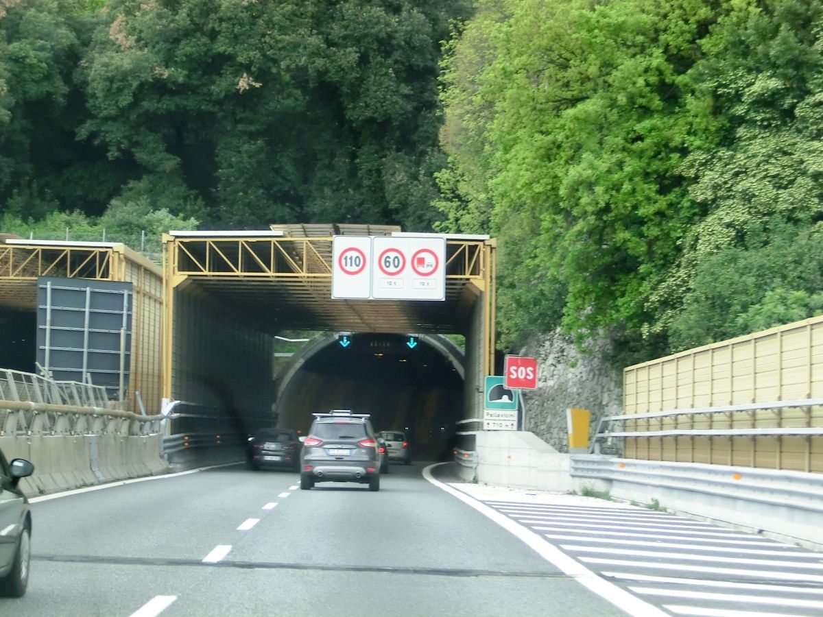 Tunnel Pallavicini 