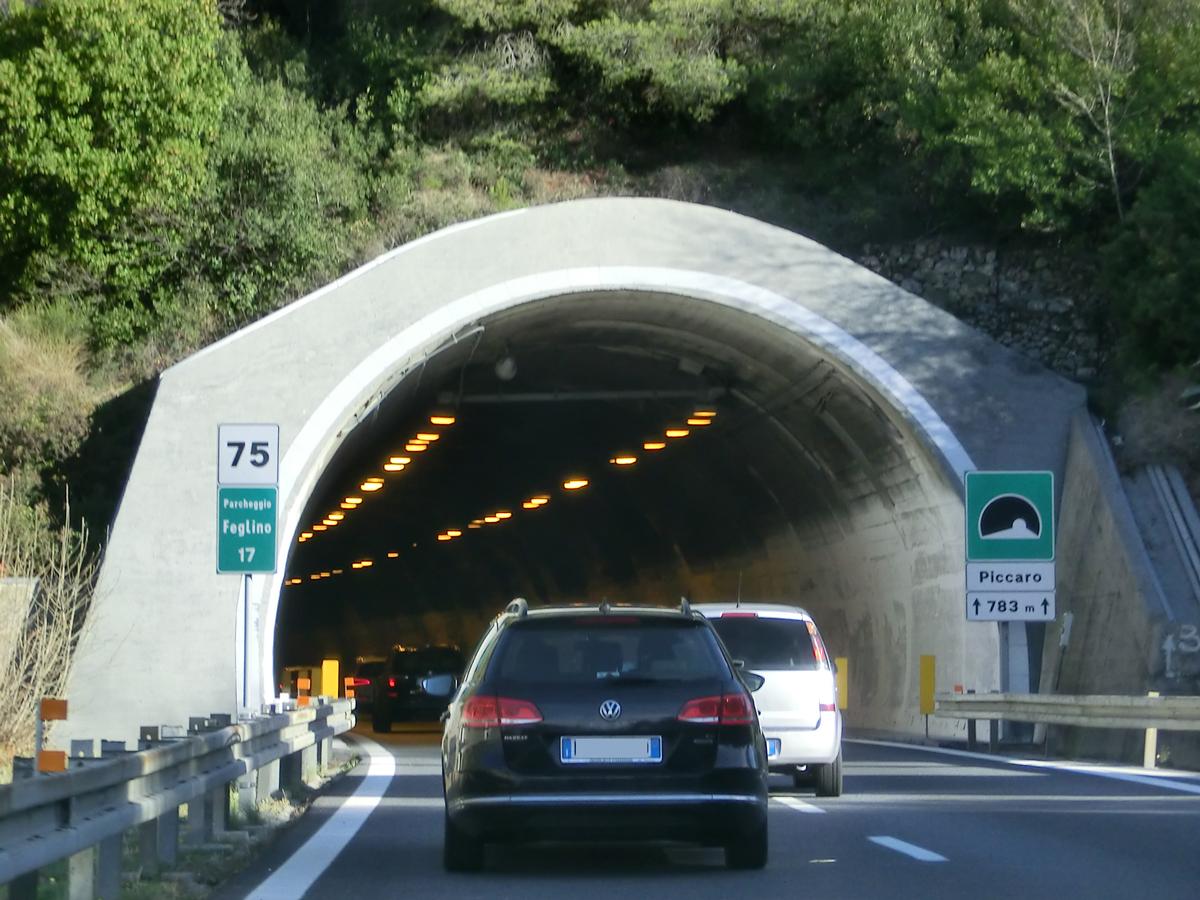 Monte Piccaro Tunnel western portal 
