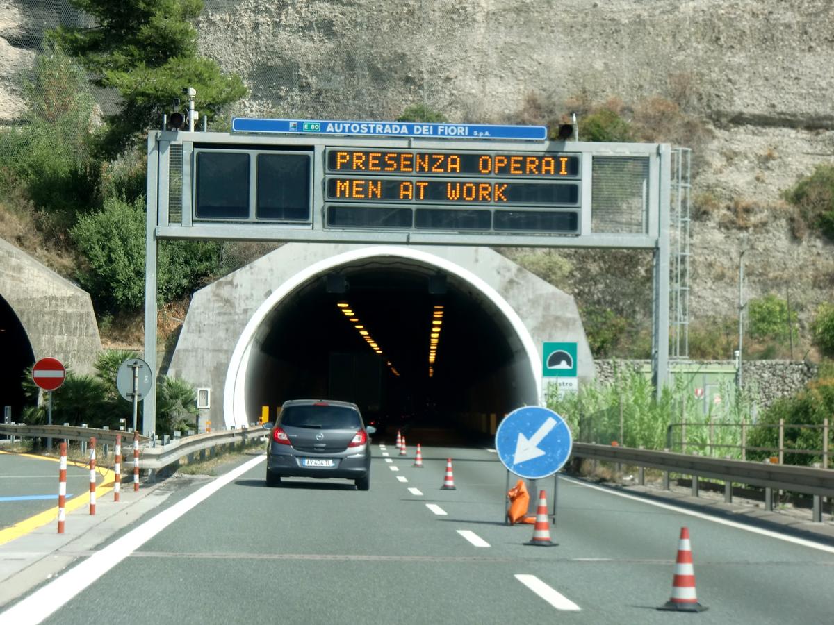 Siestro Tunnel western portal 