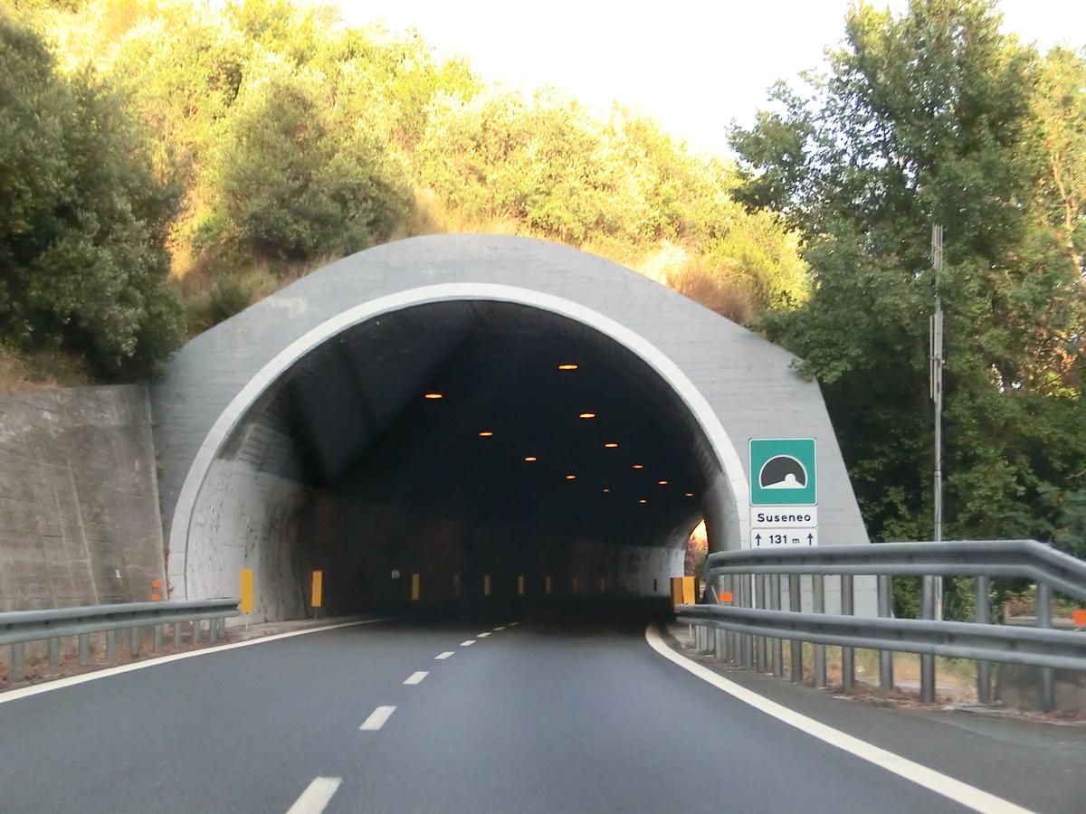 Suseneo Tunnel western portal 