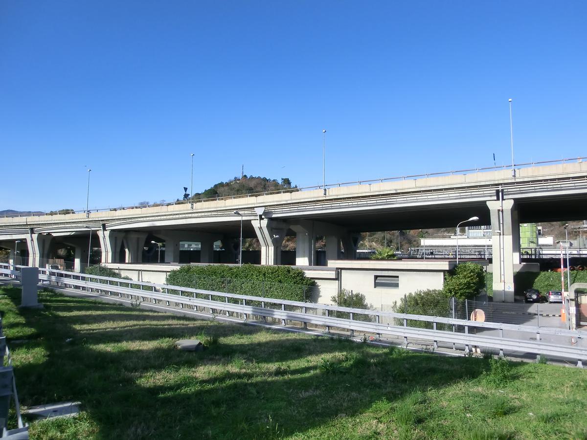 Zinola Viaduct 