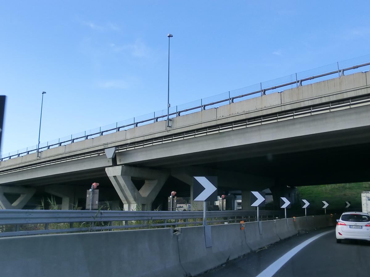 Zinola Viaduct 