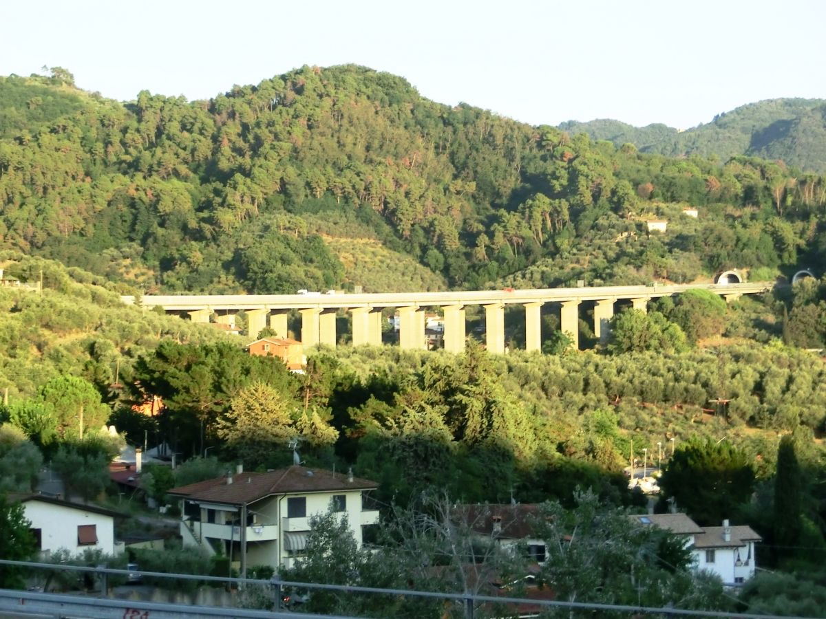 Massarosa Viaduct 