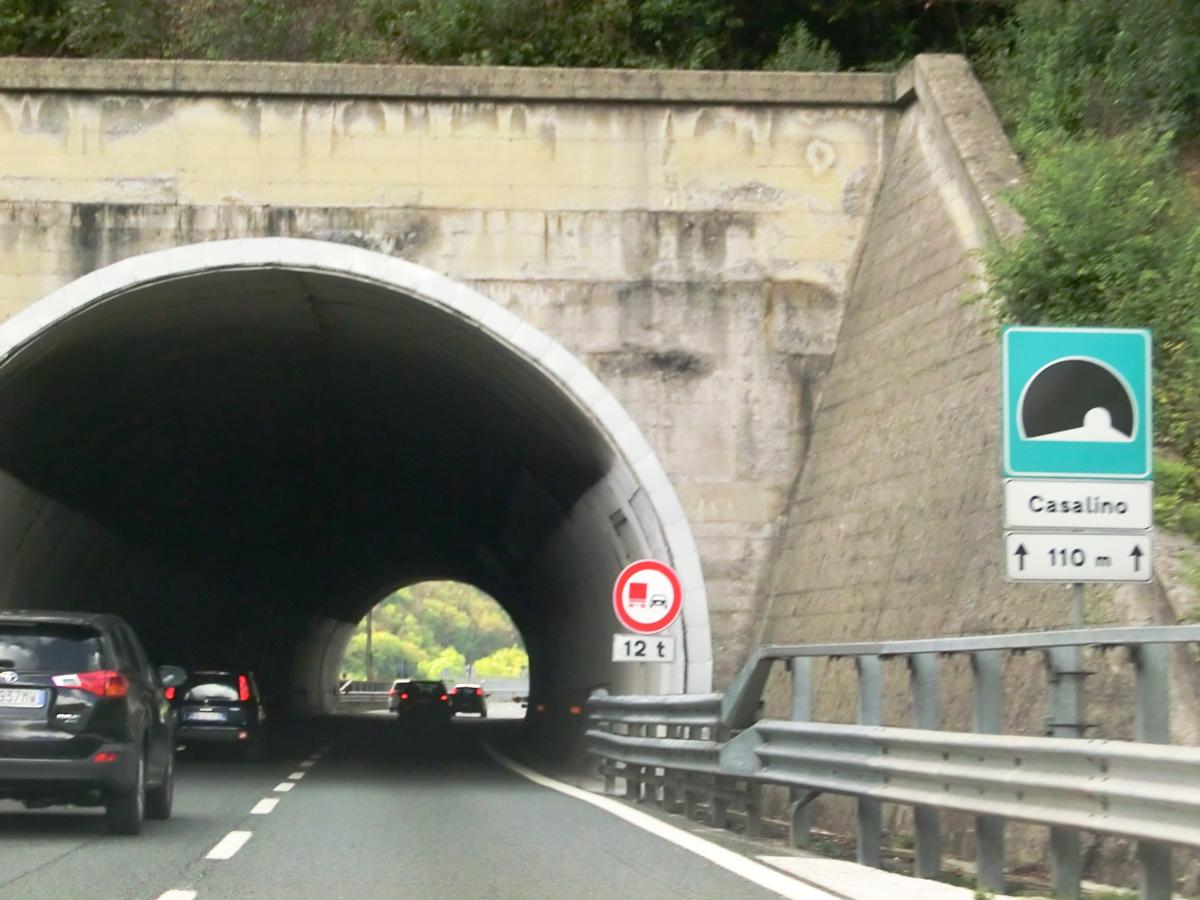 Casalino Tunnel eastern portal 