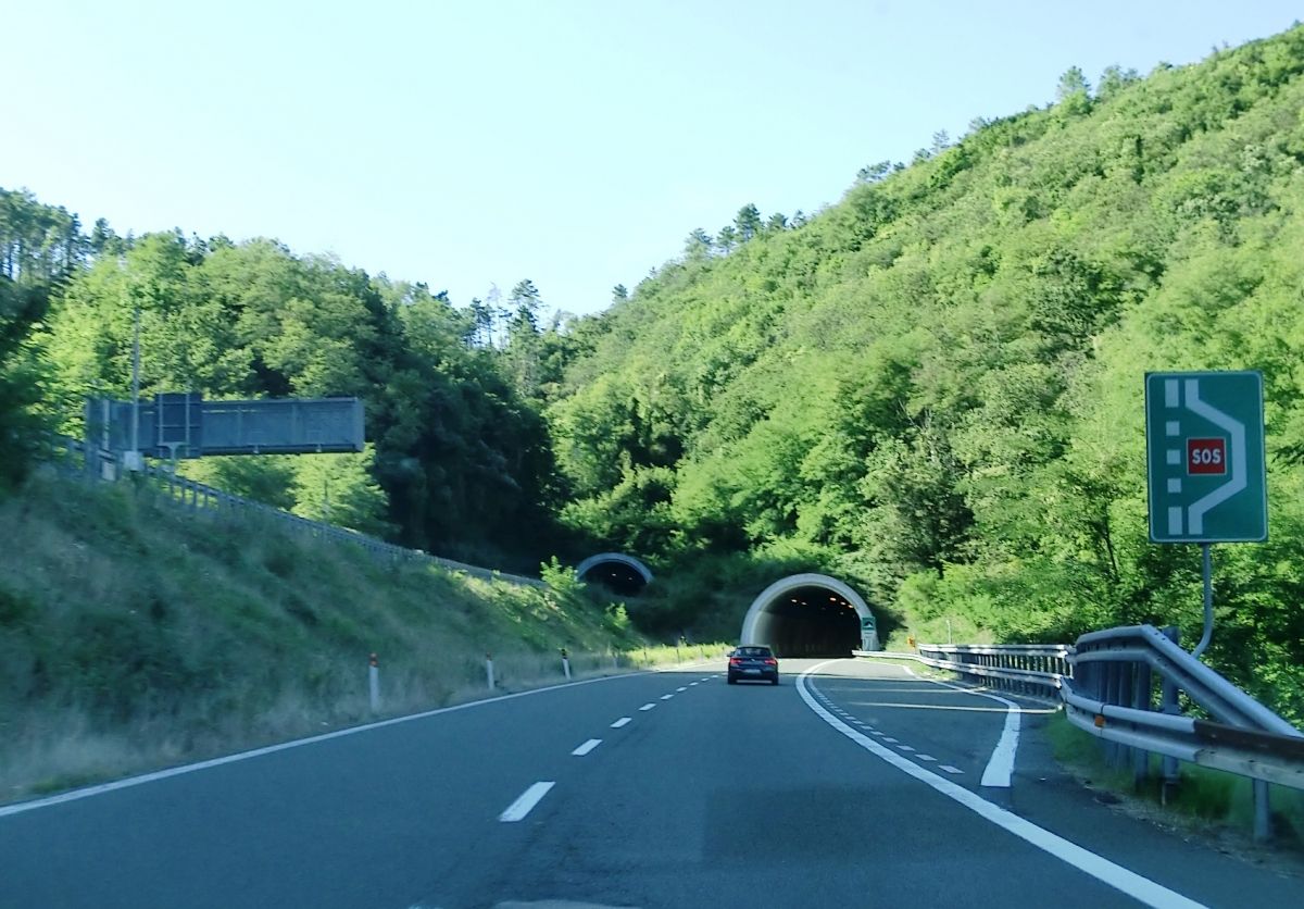 Chiappeti Tunnel eastern portals 