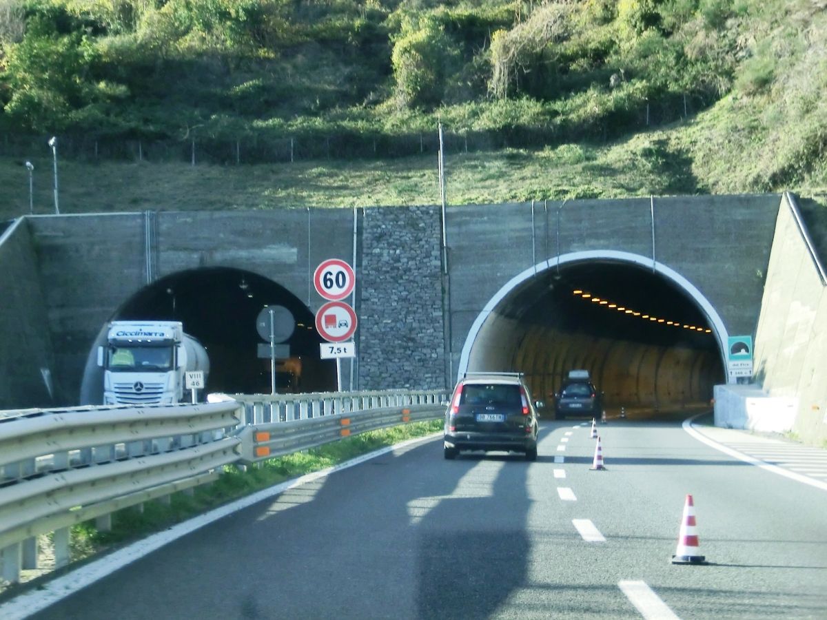 Del Fico Tunnel western portals 
