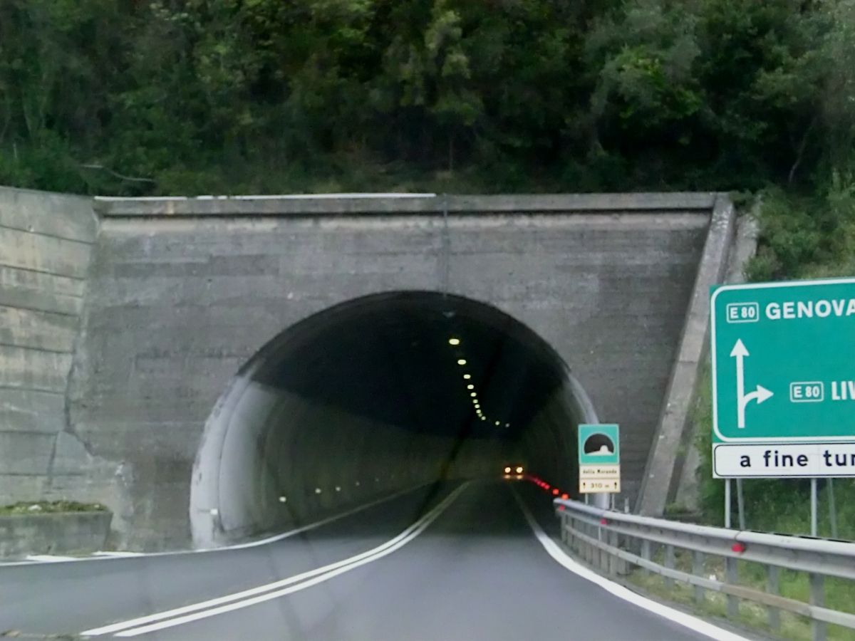 Moranda Tunnel southern portal 