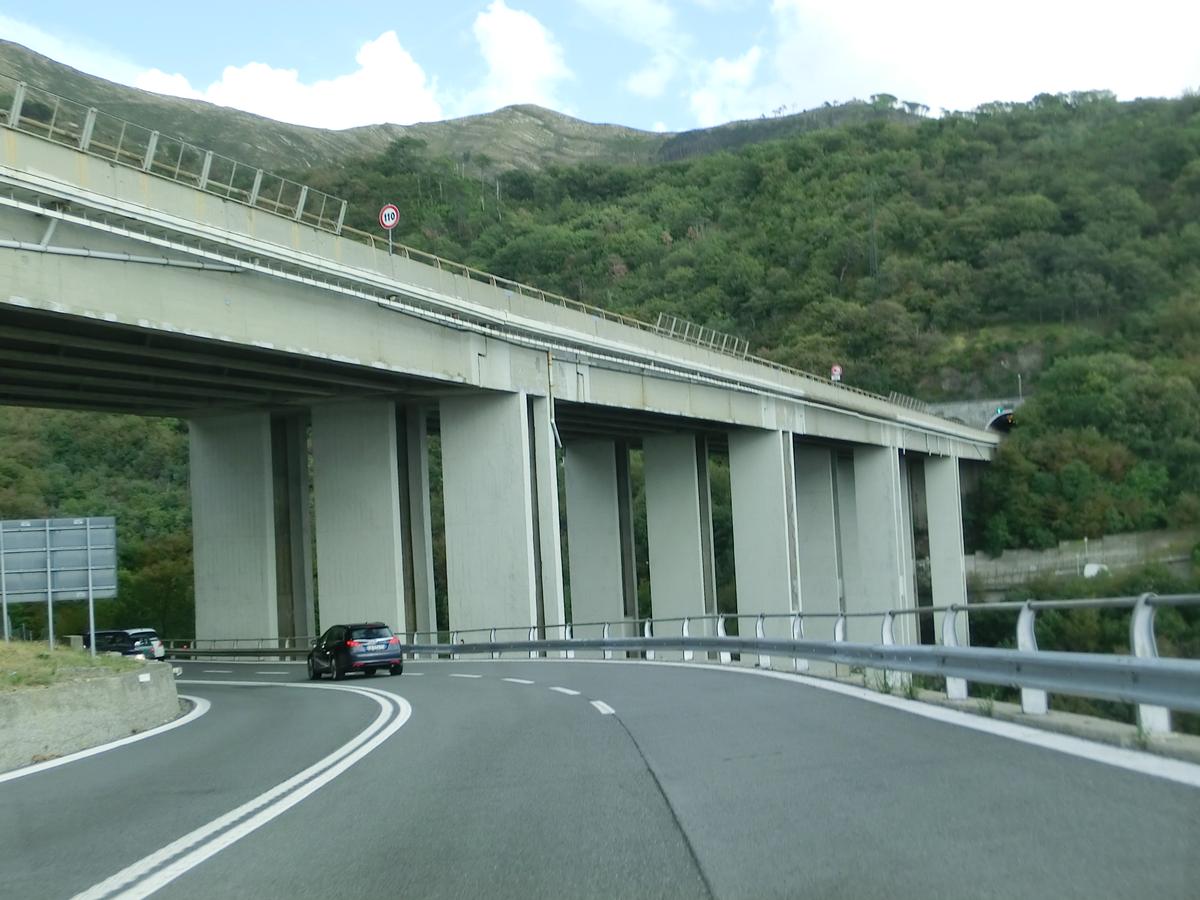 Bagnara Viaduct 
