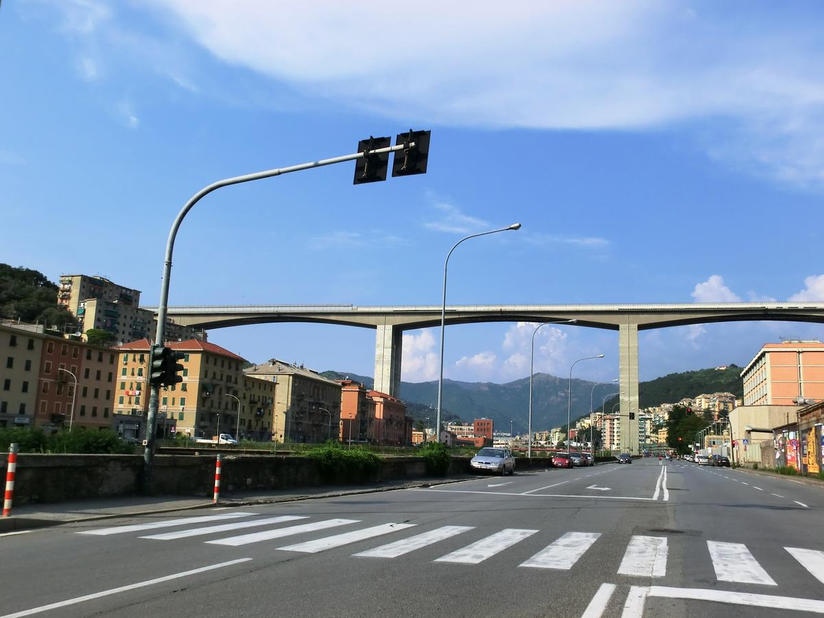 Bisagno Viaduct 