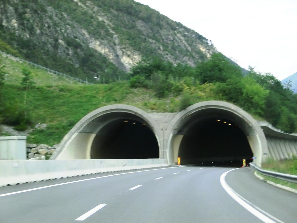Fallender Bach Tunnel western portals 