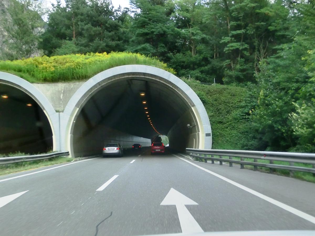 Mötz-Schlenzenmure Tunnel western portals 