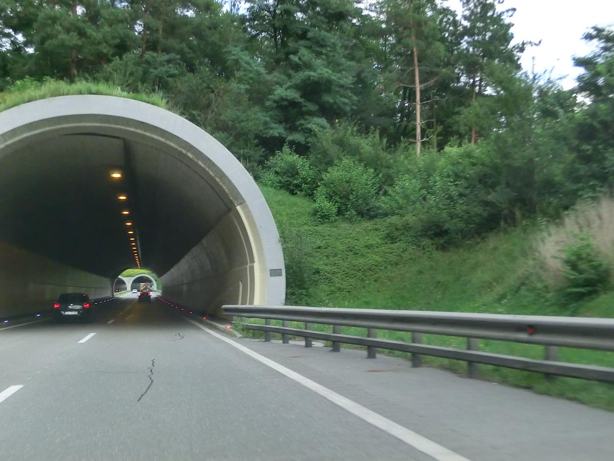 Mötz-Steinbruckmure Tunnel western portal 