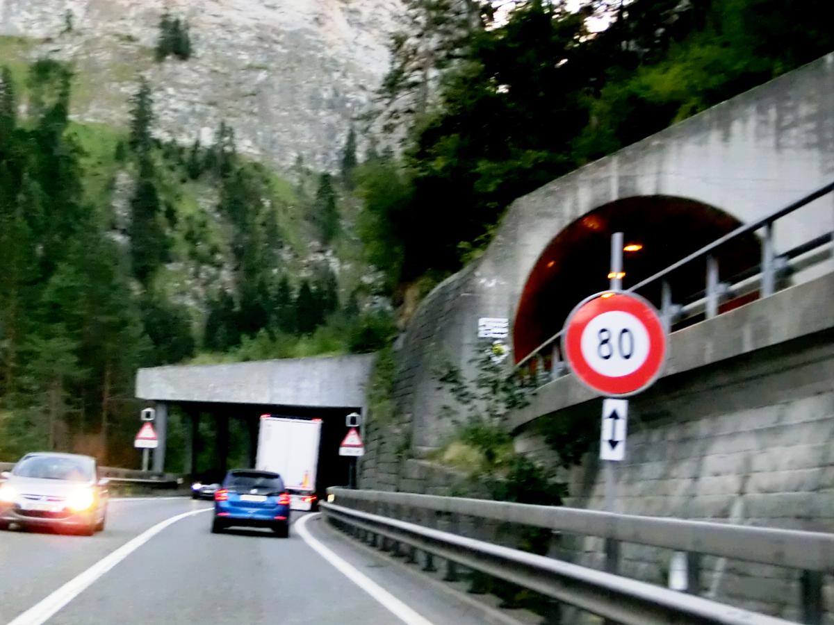 Media File No. 309636 N13 (on the right) and A13 Trögli Tunnel northern portals
NB: both names are Trögli Tunnel (see N13 portal on google map for example). On A13 it's listed as Tragli.