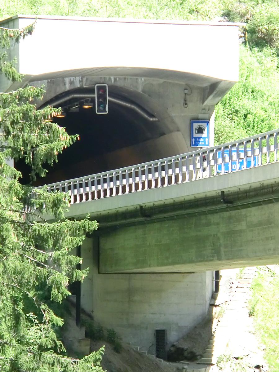 Traversa Viaduct and Rofla Tunnel northern portal 