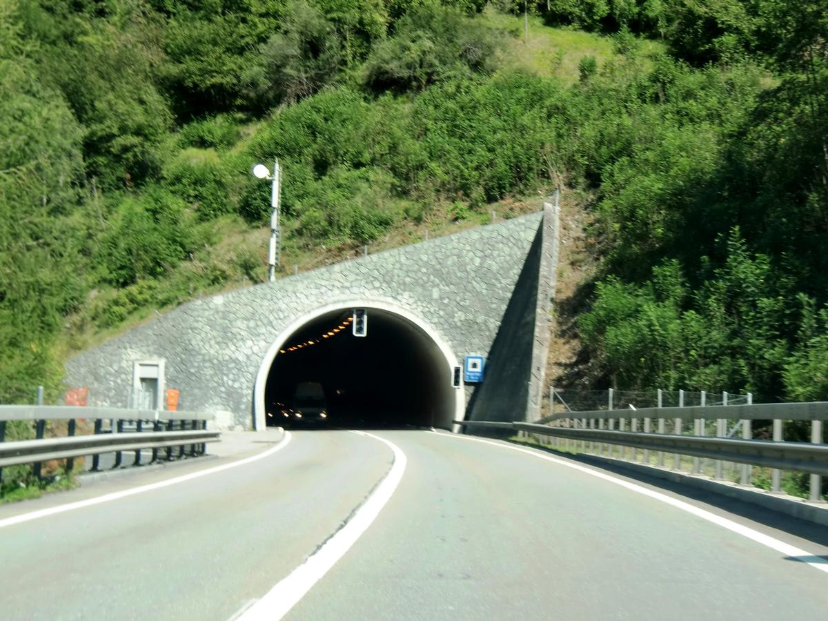 Wegerhaus Tunnel southern portal 