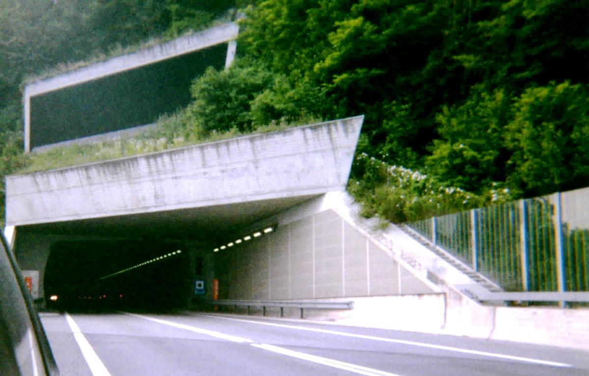 Mappo-Morettina-Tunnel 