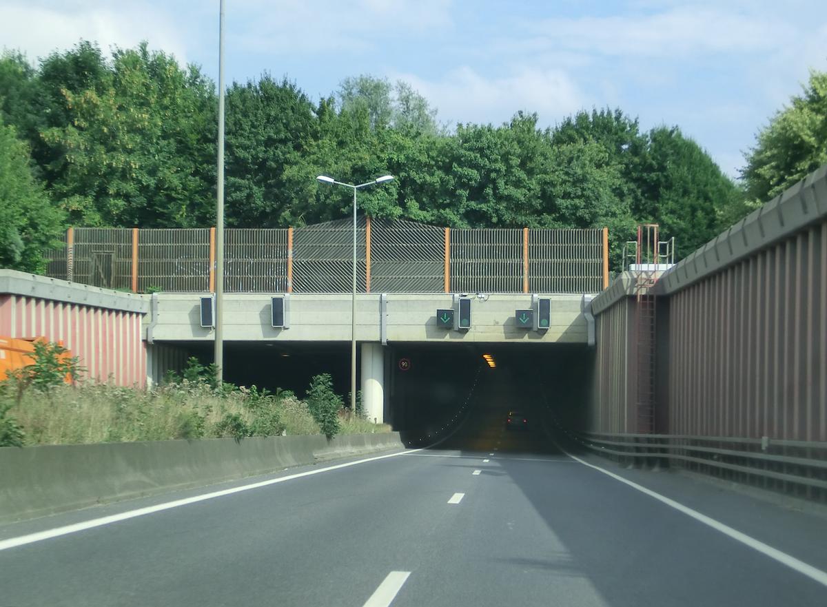 Ehlerange Tunnel eastern portals 