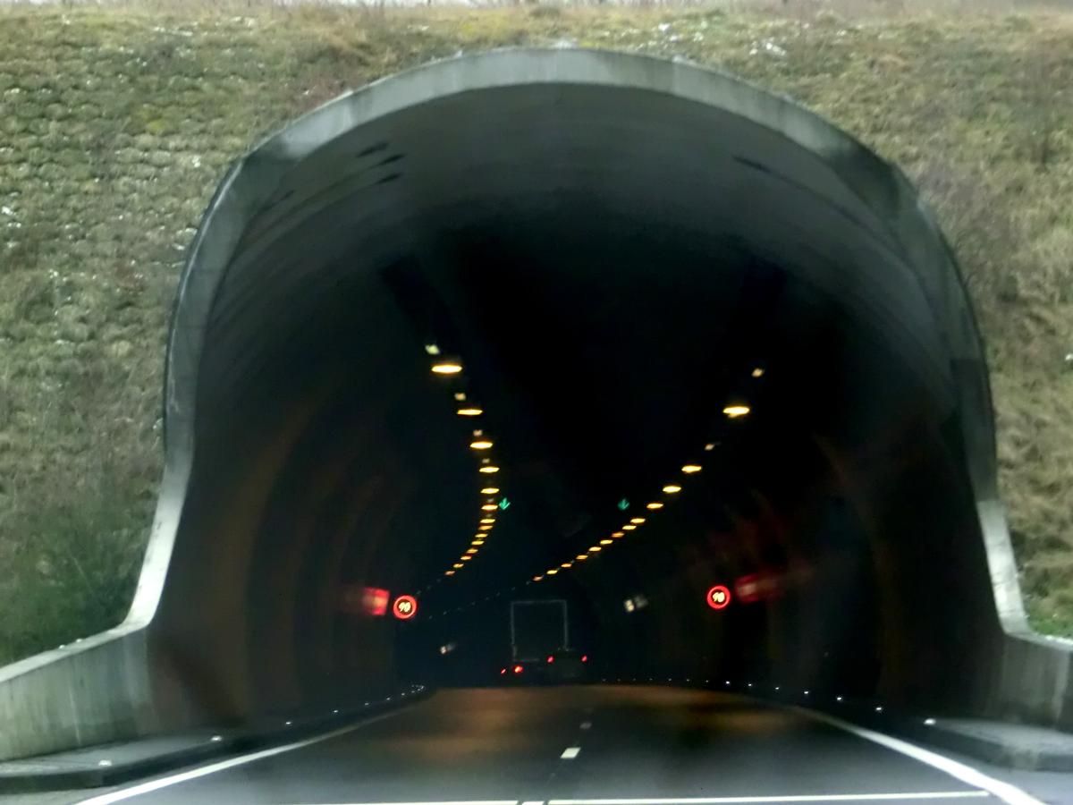 Markusbierg Tunnel western portals 