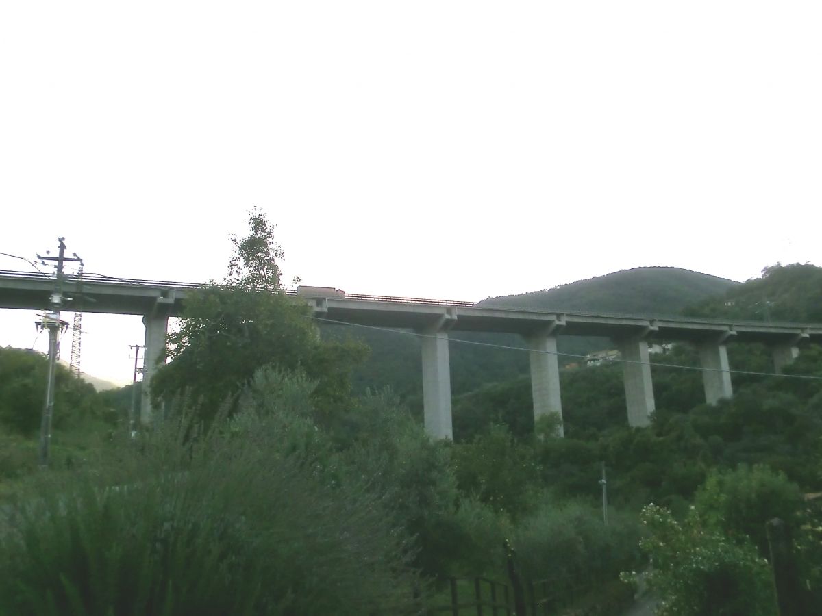 Bettinia Viaduct 