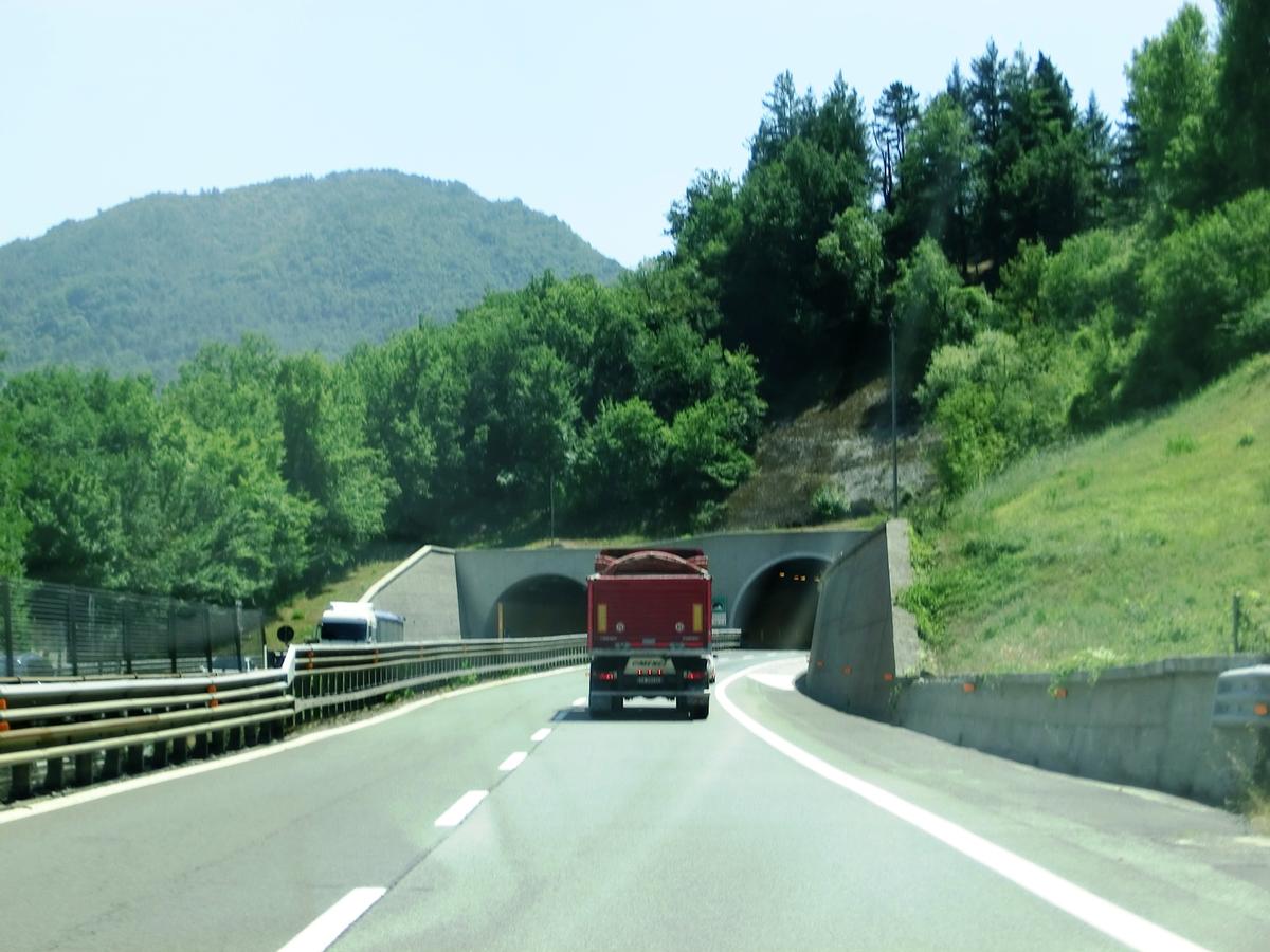 Calcinara Tunnel northern portals 