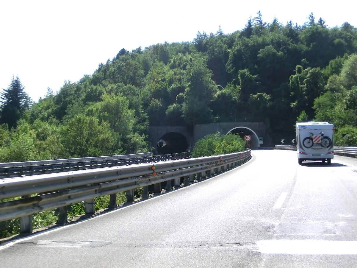 Polina Tunnel northern portals 