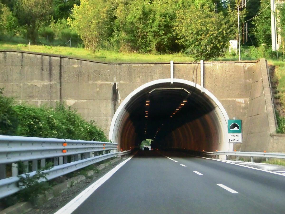 Polina Tunnel southern portal 