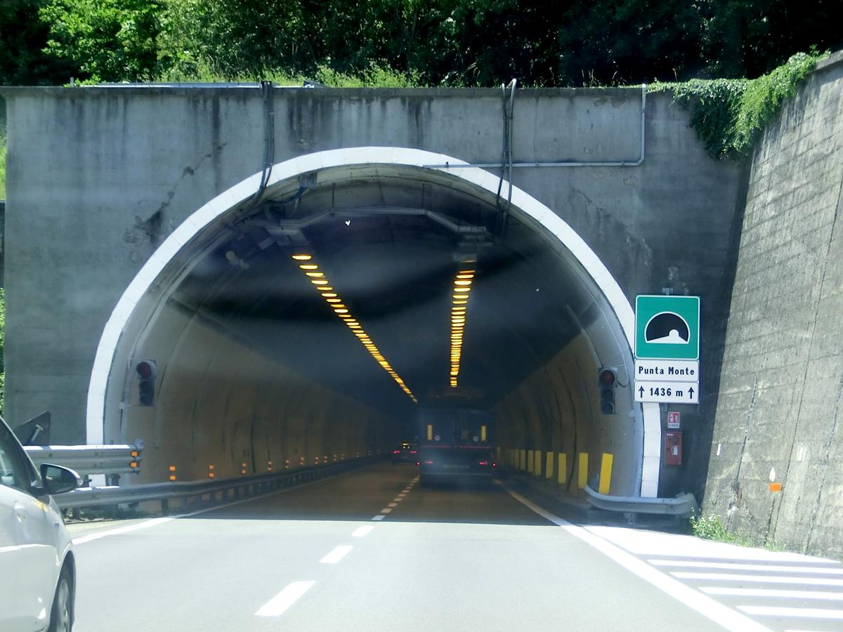 Punta Monte Tunnel northern portal 