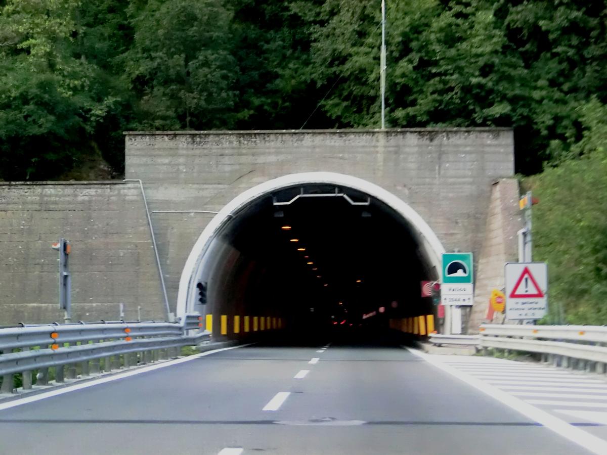 Valico (Cisa) Tunnel southern portal 