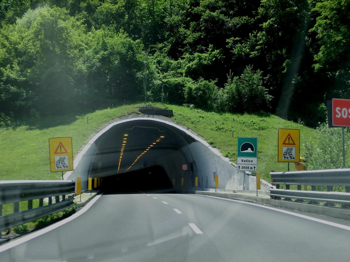 Valico (Cisa) Tunnel northern portal 