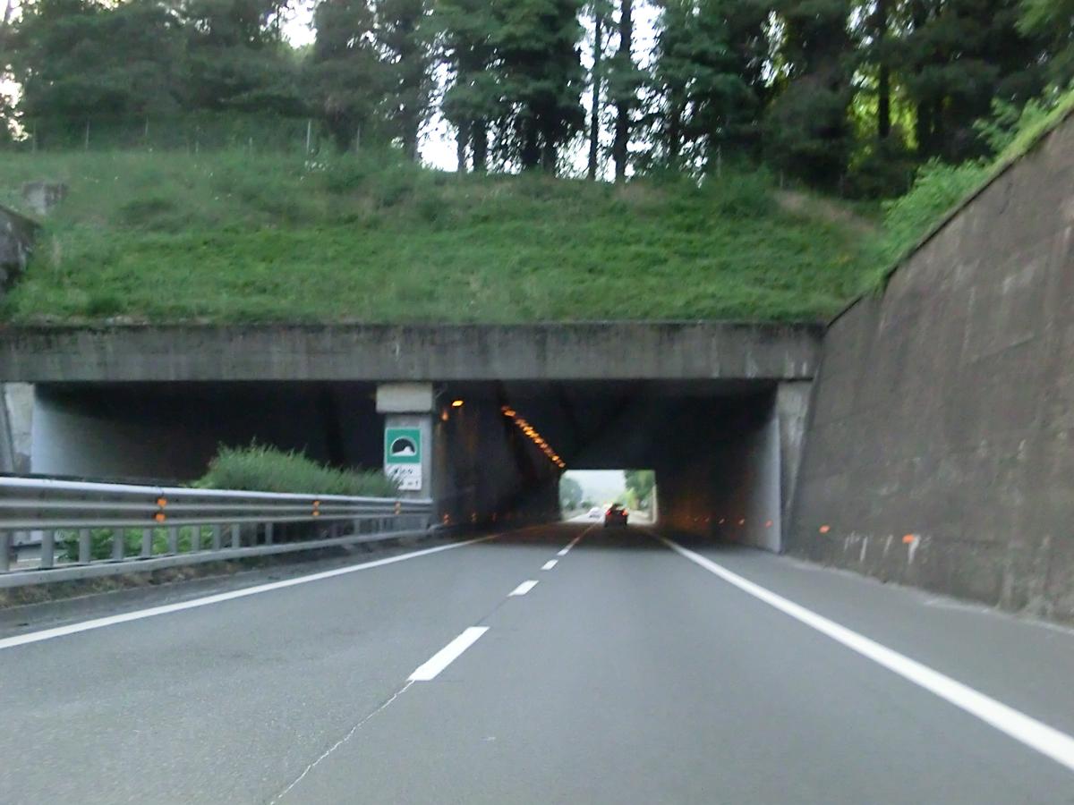 Vico Tunnel southern portals 