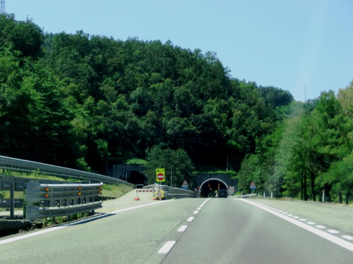 Vizzana Tunnel northern portals 