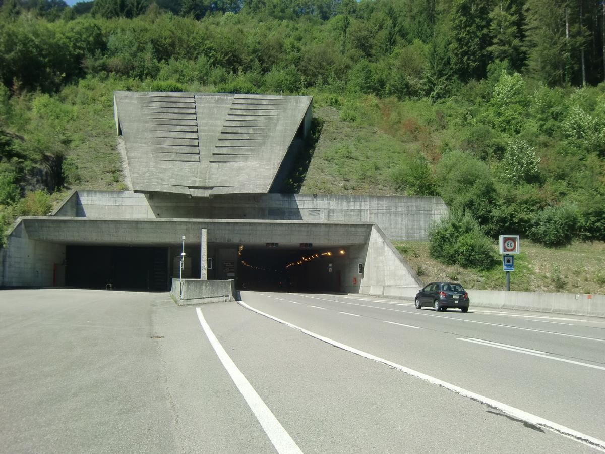 Tunnel du Mont-Terri southern portal 