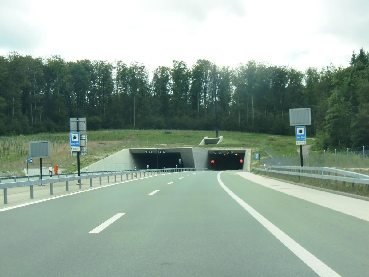 Neu Bois tunnel northern portals 