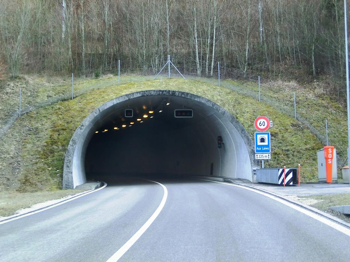 Tunnel Aux Laives southern portal 