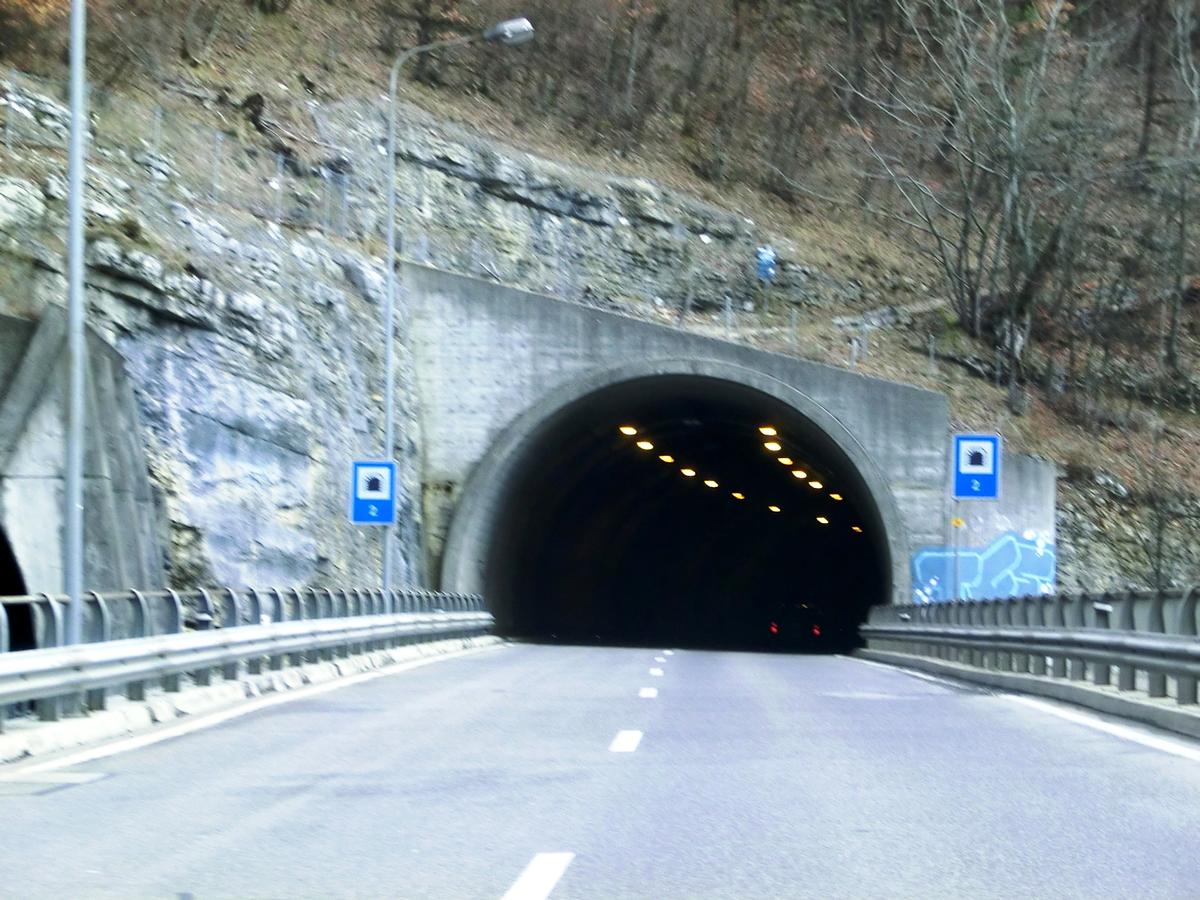 Taubenloch Tunnel II northern portal 