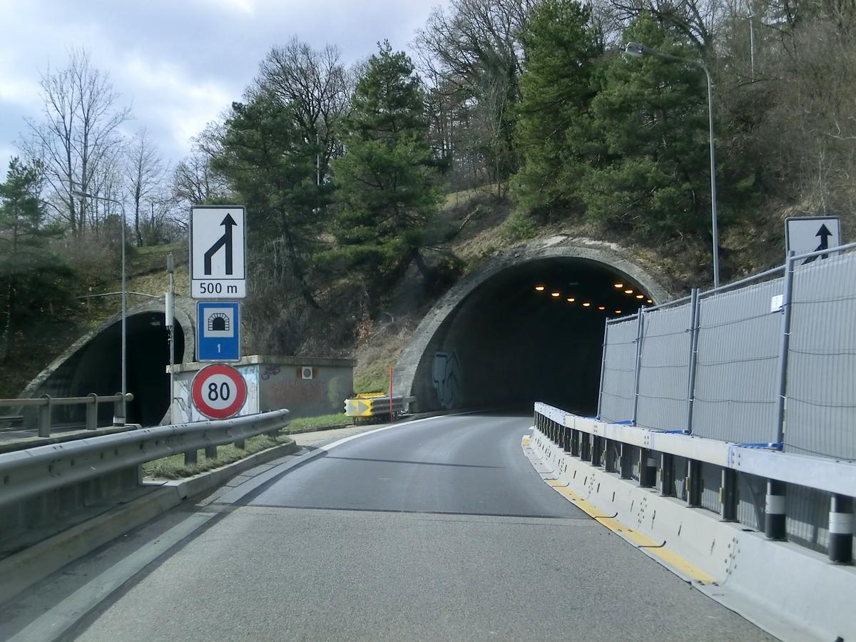 Taubenloch Tunnel I (on the right) and II southern portals 