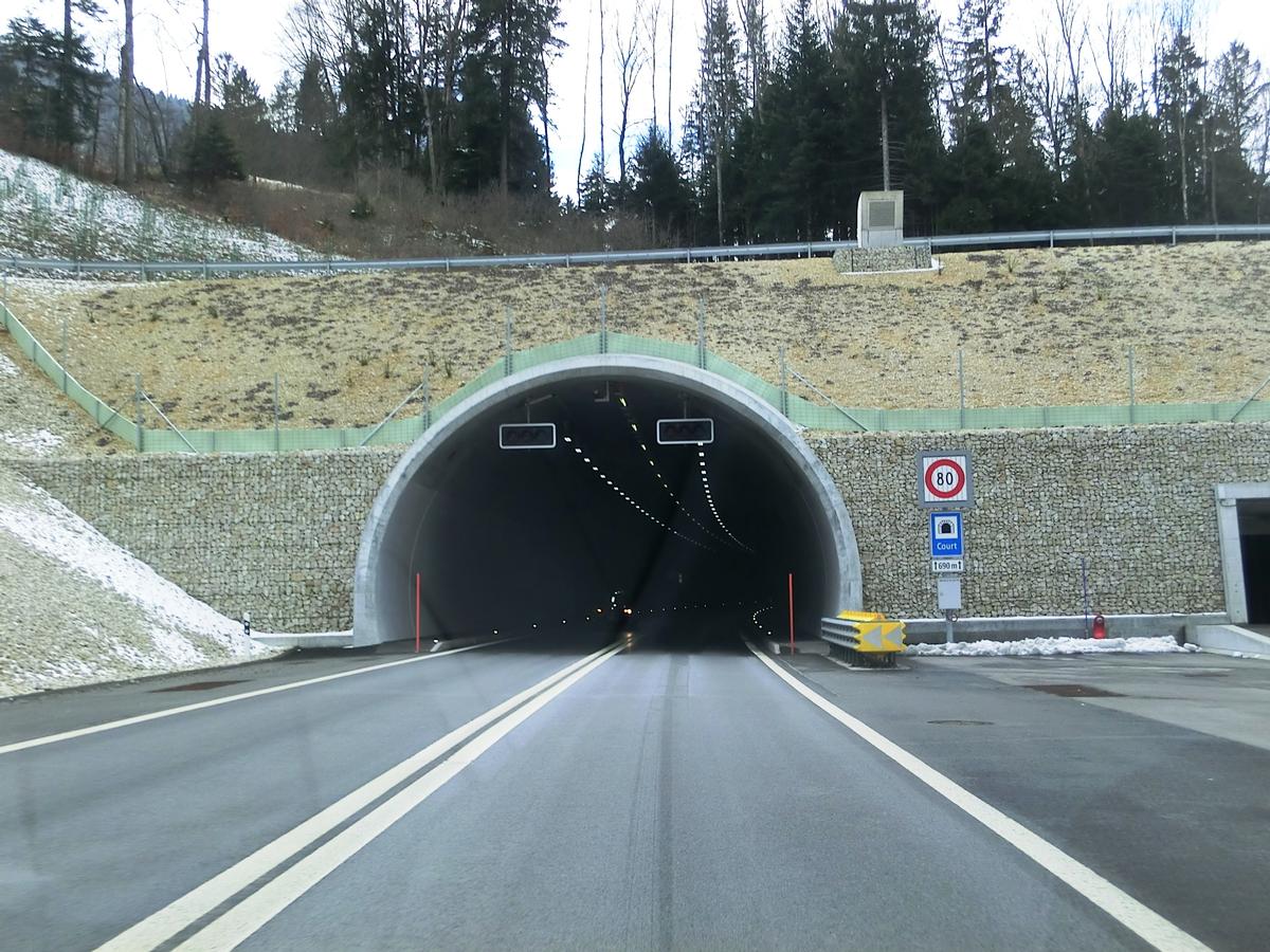 Tunnel de Court 