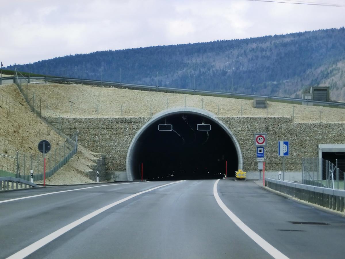 Malleray Tunnel eastern portal 