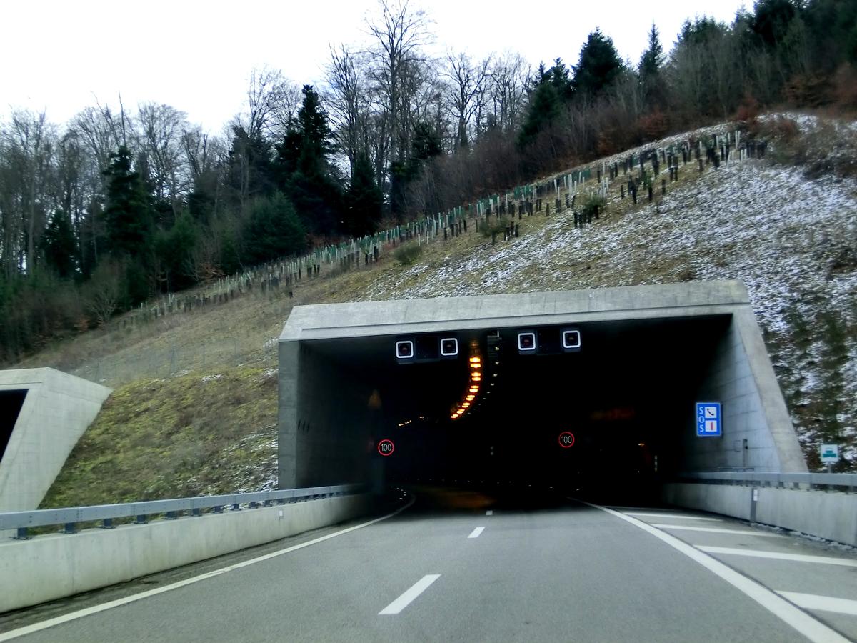 Tunnel Bois de Montaigre 