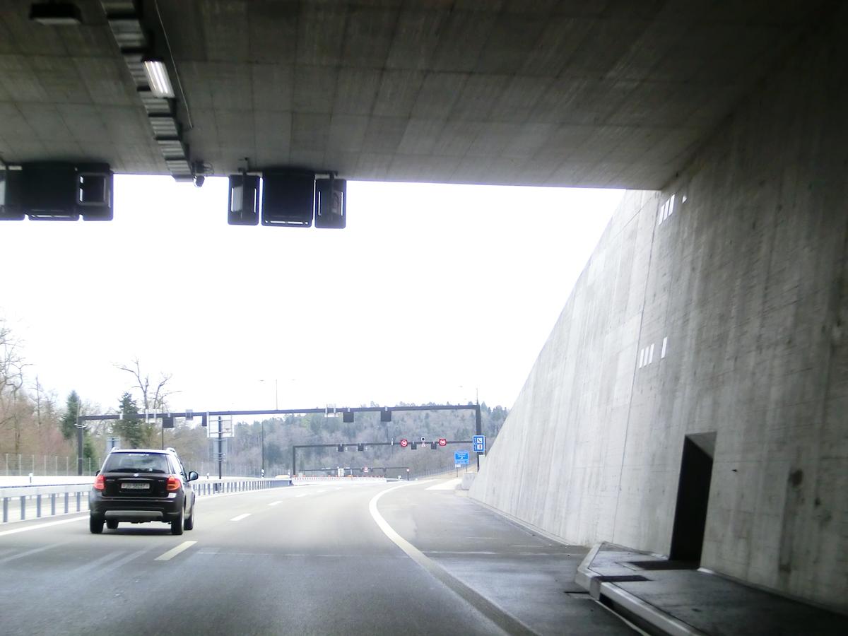 Tunnel du Bois de Montaigre 