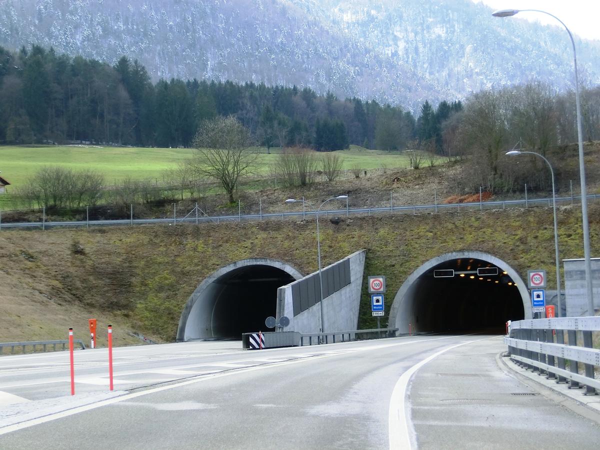 Tunnel de Moutier northern portals 