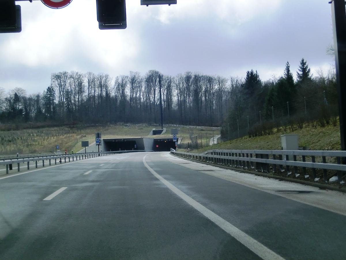 Tunnel de Neu Bois northern portals 