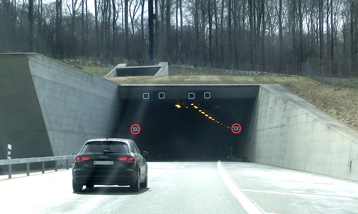 Tunnel de Neu Bois northern portal 
