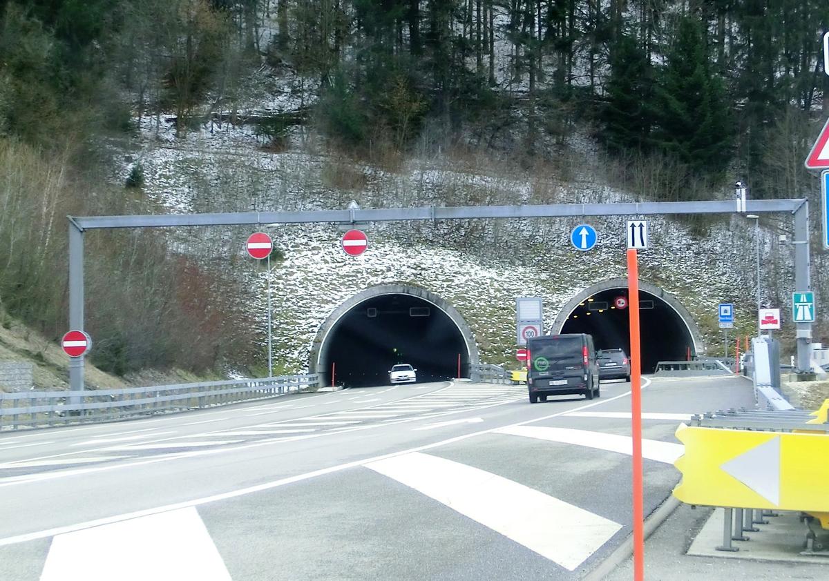 Pierre Pertuis Tunnel northern portals 