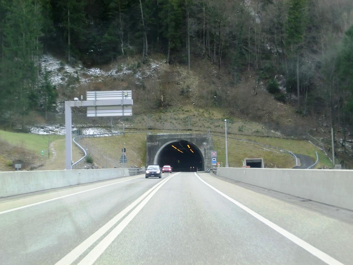 Tunnel du Raimeux northern portal 