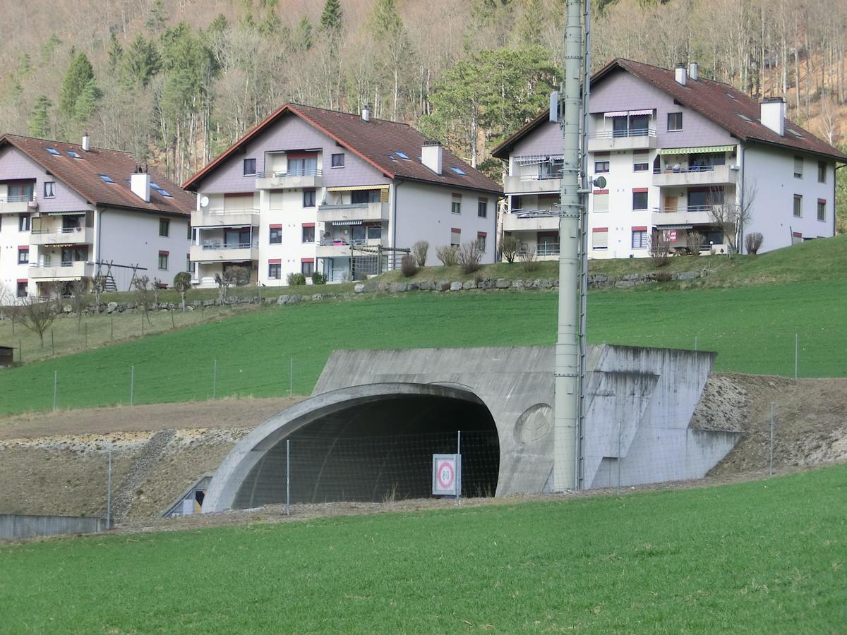 Tunnel du Raimeux southern portal 