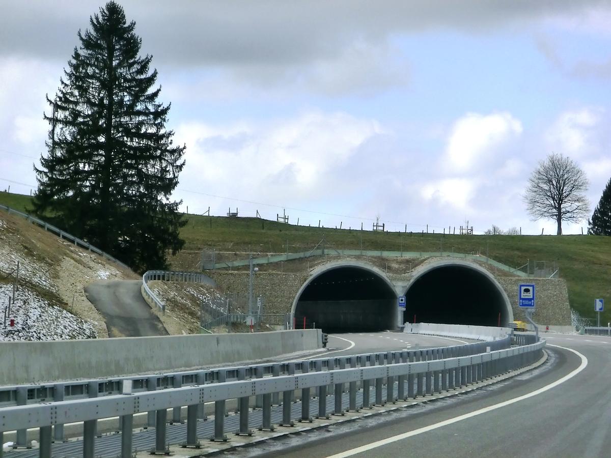 Tunnel Sorvilier 