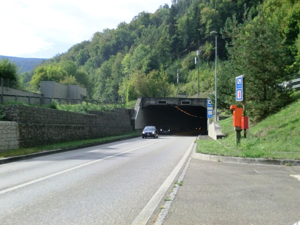 Eggflue-Tunnel 