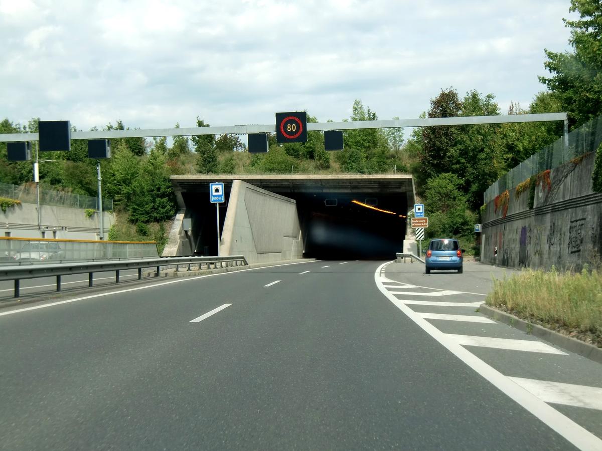Saconnex d'Arve tunnel northern portals 