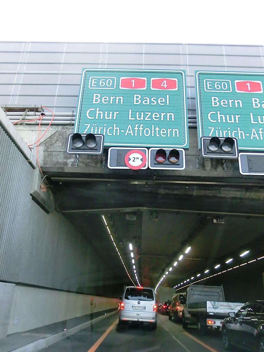 Stelzen Tunnel eastern portal 
